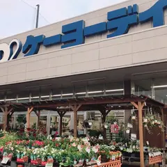 ケーヨーデイツー 新船橋店