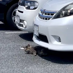 オリックスレンタカー 高崎江木店