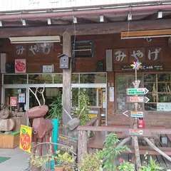 筒井商店