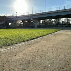隅田公園少年野球場