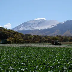 嬬恋村