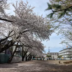 ふじみ公園