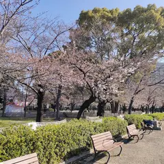 芝生広場
