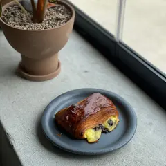 피그먼츠 figments