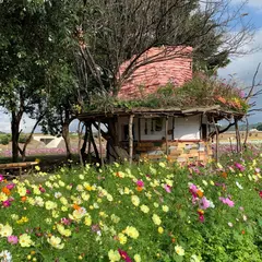 魔女の小屋