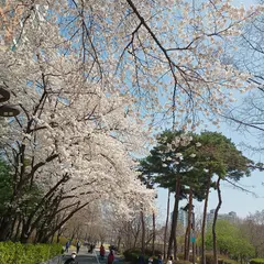 永登浦公園