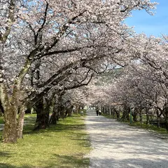 鏡野公園