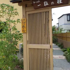 和カフェ 一粒の種