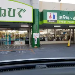 タウンプラザかねひで西崎店