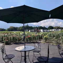 KIMOTOダリア園