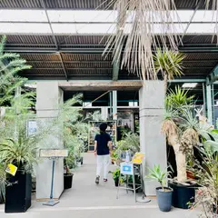 ｎ-BASEMENT