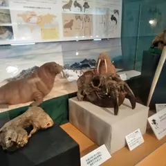 信州新町化石博物館
