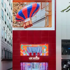 LDF HOUSE