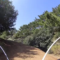幕張海浜公園Ｇブロック芝生広場