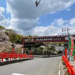 飯山白山森林公園