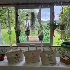 Greenshell KOMBUCHA cafe&shop