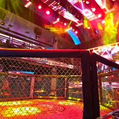 Dynasty Fight Club