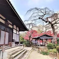 善福寺