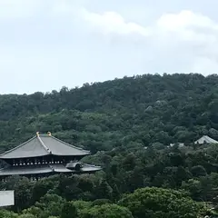 奈良県庁展望台