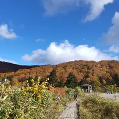 八幡平 大場谷地