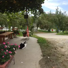 福文農園