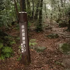 丸尾自然探勝路(Maruo Scenic Nature Path)