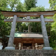 丹生川上神社下社 御神木(欅)