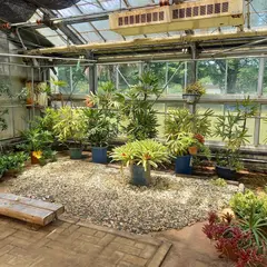 農業センター 展示大温室