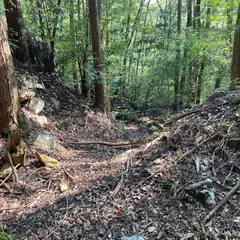 岡ノ上城跡