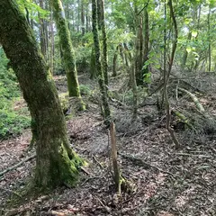 大野見城跡
