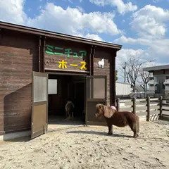 函館公園動物施設 ヤギ舎