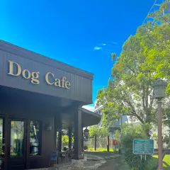 ペニーレインドッグラン