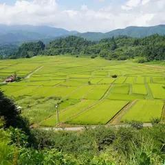 椹平の棚田 第2展望台