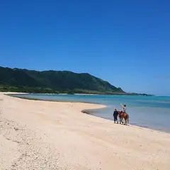 琉球 美ら馬 ホースくらぶ＆Ｃａｆｅ
