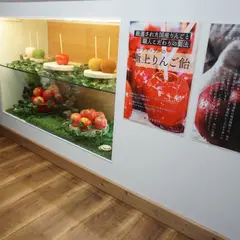 ＆apple 横浜中華街店｜アンドアップル
