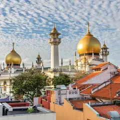 Newly Launched Heritage Collection on Arab