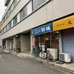 羽林