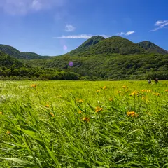 タデ原湿原 木道
