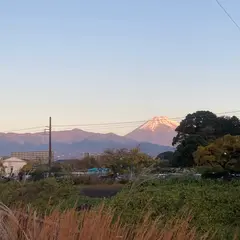 日の出町 親水公園