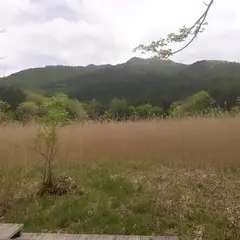 ヨシ沼園地