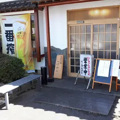 きんせい