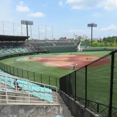 パロマ瑞穂野球場