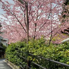 万葉公園第３駐車場