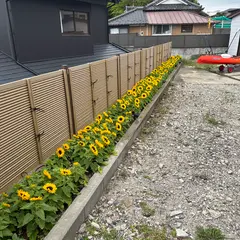 Traveler’s Wharf Shichigahama