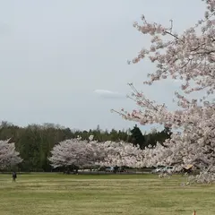 市原市文化の森
