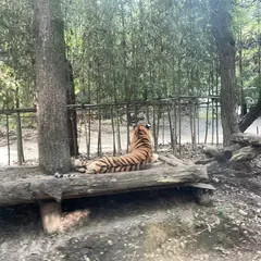 エバーランド サファリワールド