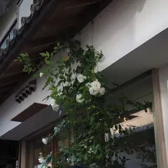 智路留（チロル）