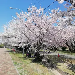 ダイハツ九州アリーナ