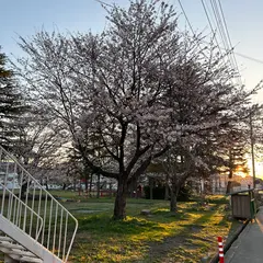 つばくろ公園