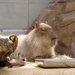 神戸ポートミュージアム 展望デッキ